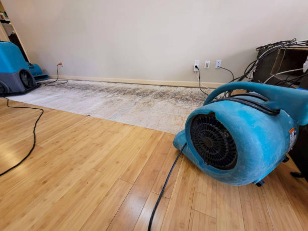 Professional Flood Damage Cleanup technician working in Danese, WV
