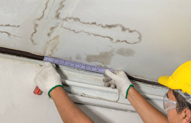 Affordable Flood Damage Cleanup solutions in Danese, WV